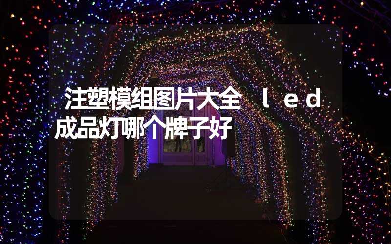 注塑模组图片大全 led成品灯哪个牌子好